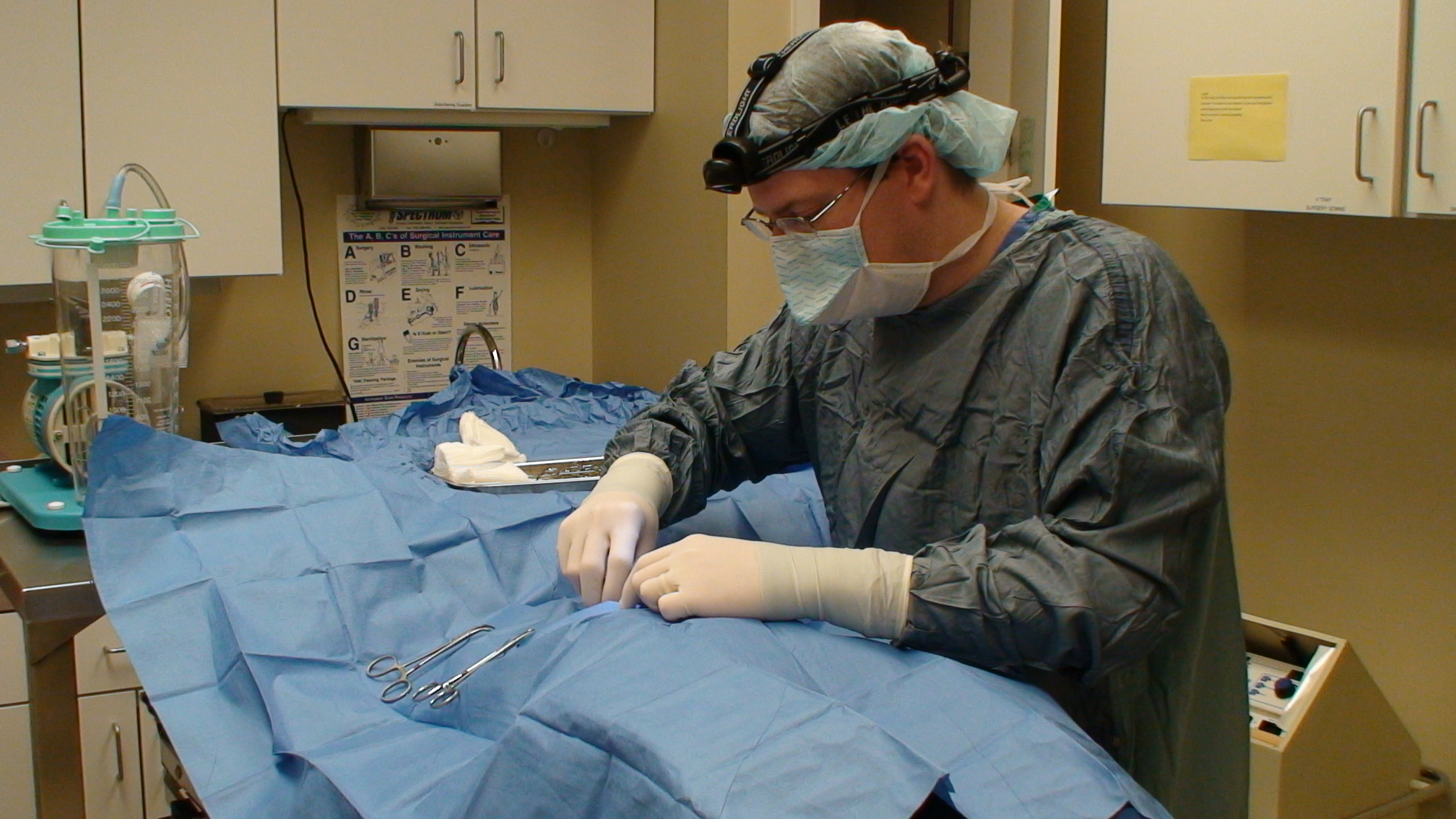 Animal Emergency Clinic Of Rockford